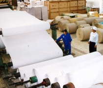 Ngành Giấy khuyến nghị nhà đầu tư cân nhắc khi rót thêm vốn vào sản xuất giấy bao bì phổ thông